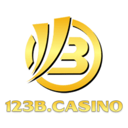 sudoku solver asset nyt
